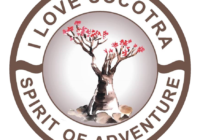 inertia travel socotra